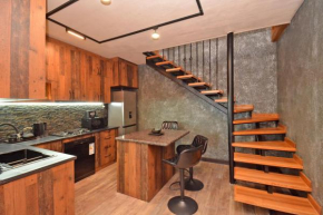 Luxury Downtown Apartment